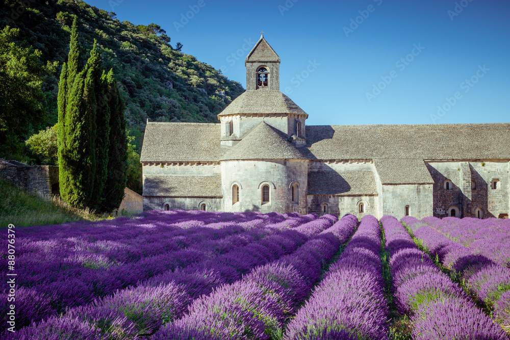 Obraz Dyptyk Lavender in front of the old