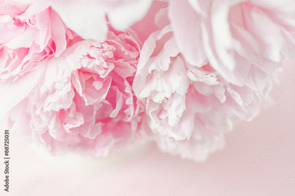 Fototapeta Fresh cut bouquet of Pink