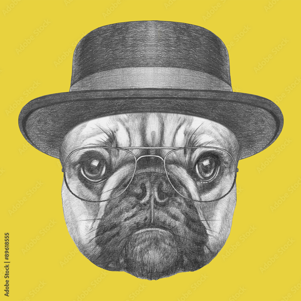 Obraz Kwadryptyk Portrait of French Bulldog