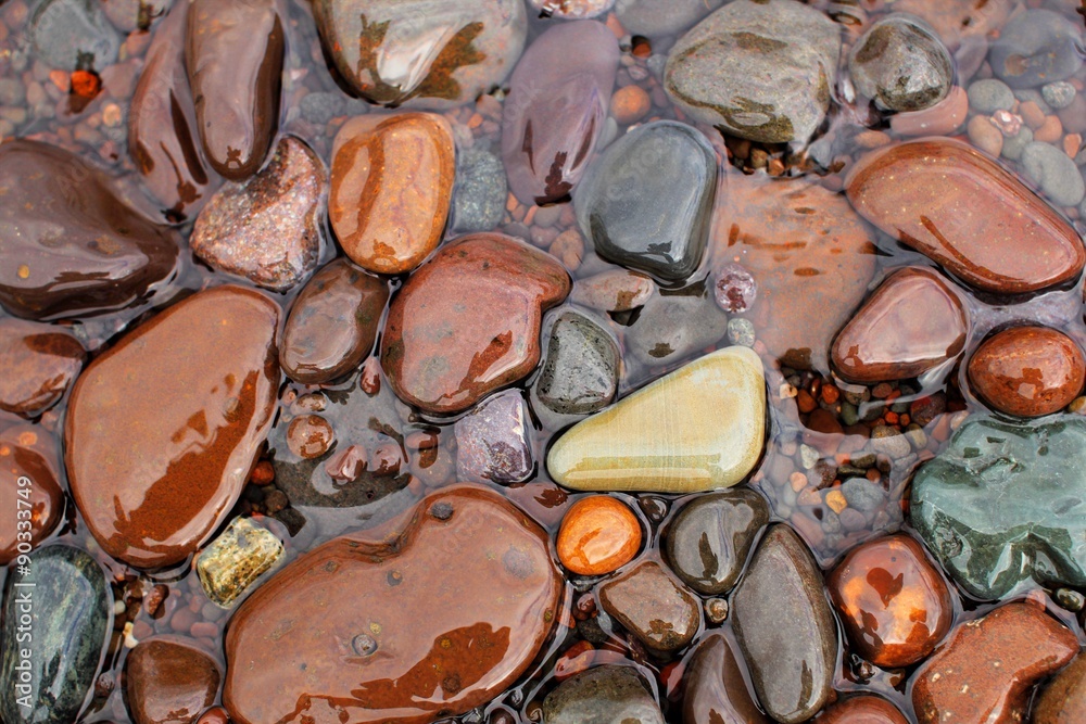 Fototapeta Wet rocks at the shoreline of