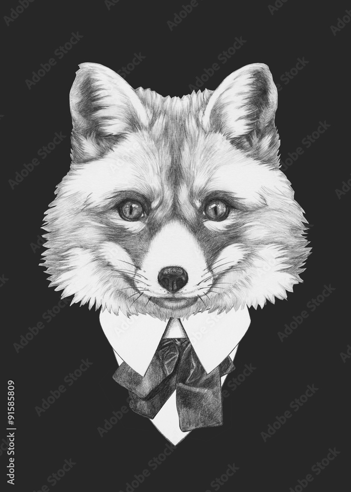 Obraz Tryptyk Portrait of Fox in suit. Hand