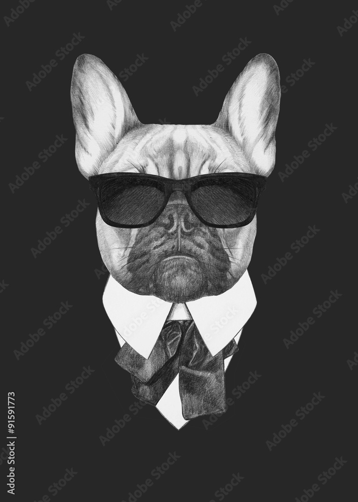 Obraz Kwadryptyk Portrait of French Bulldog in