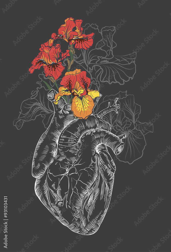 Obraz na płótnie drawing Human heart with