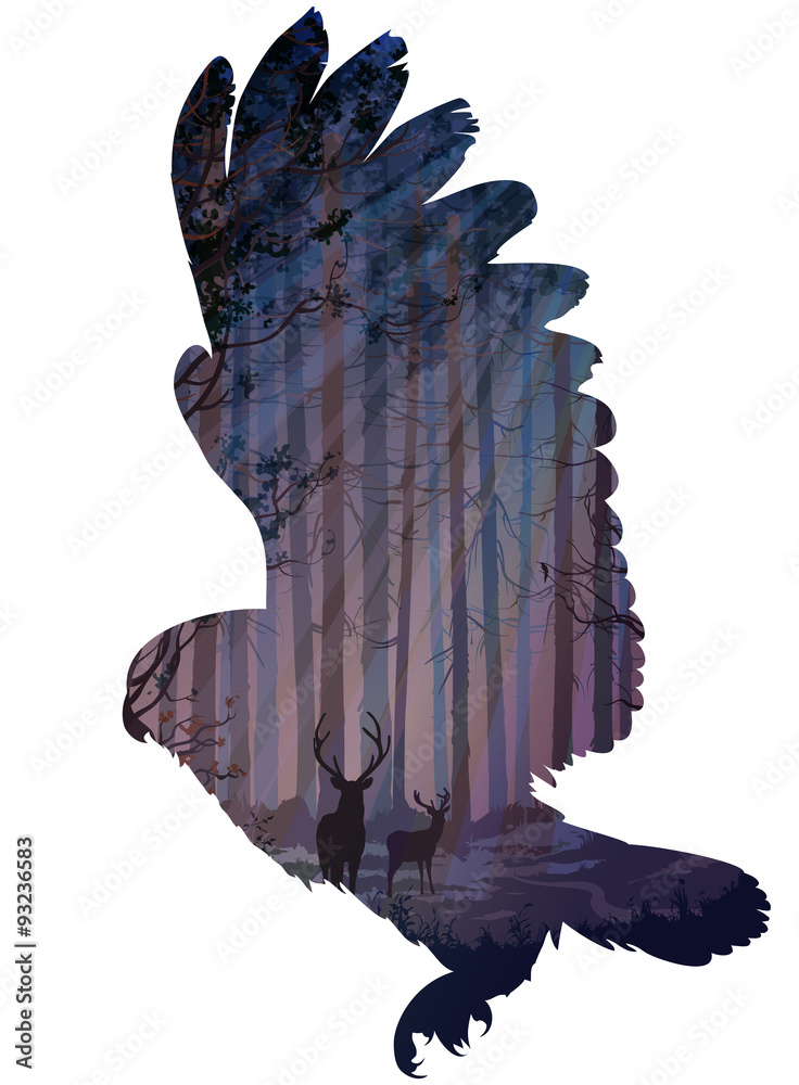 Obraz Kwadryptyk owl