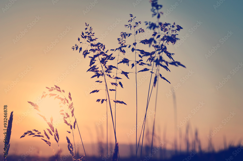Obraz Dyptyk Meadow at sunset, zen