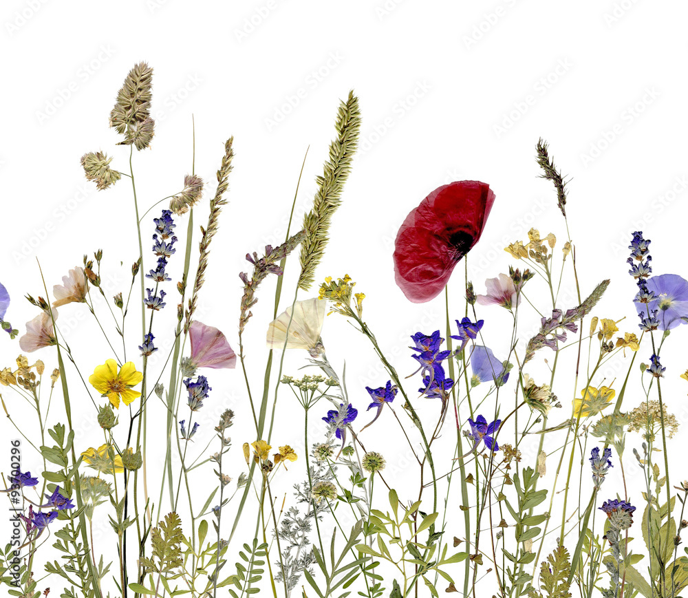 Obraz Pentaptyk flowers and herbs