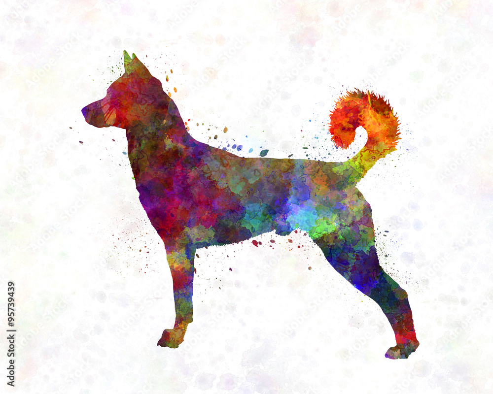 Obraz Kwadryptyk Canaan Dog in watercolor