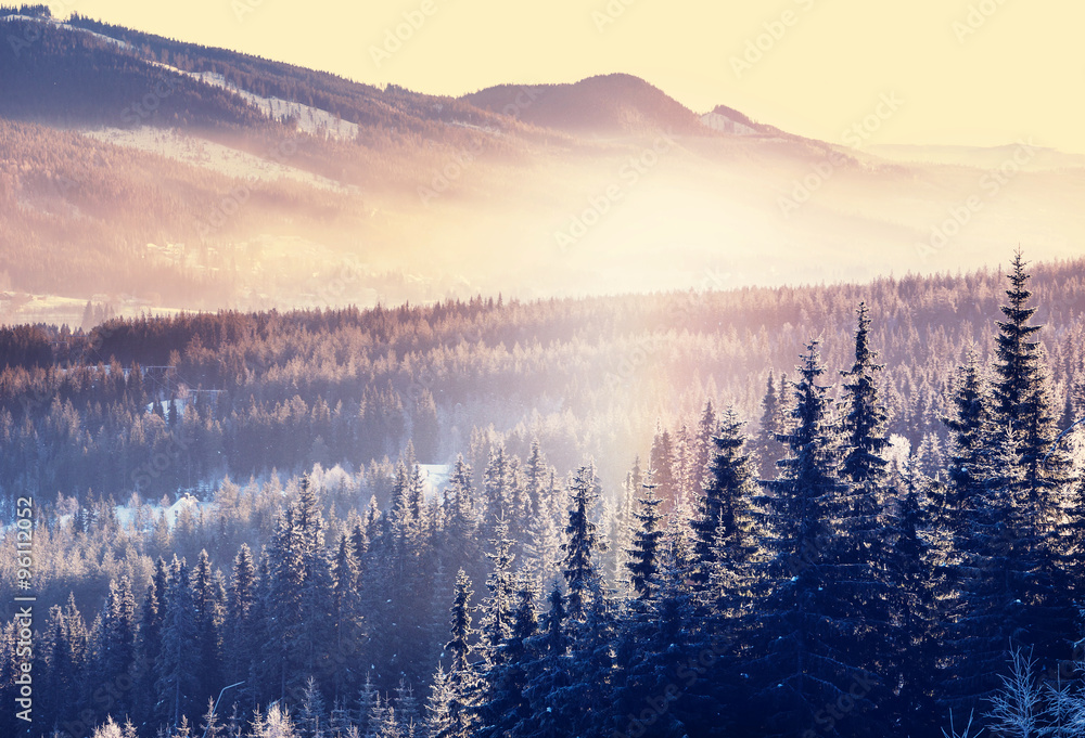 Fototapeta Winter mountains