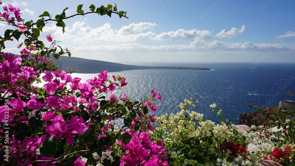 Fototapeta colorful flowers in greece