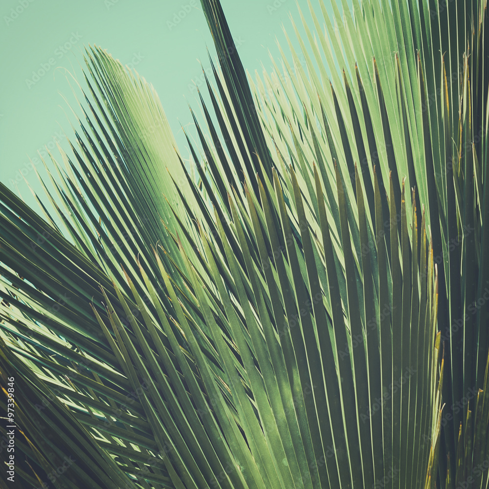 Obraz Pentaptyk Abstract tropical vintage