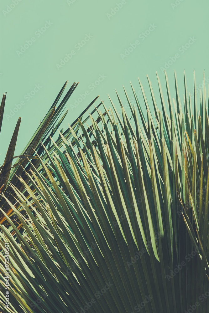 Obraz Kwadryptyk Abstrac tropical vintage