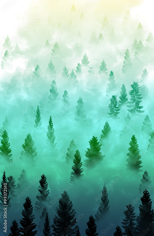 Obraz na płótnie misty forest landscape