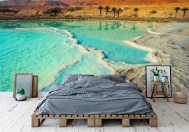 Fototapeta Dead sea salt shore