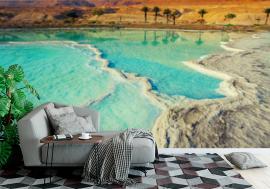 Fototapeta Dead sea salt shore