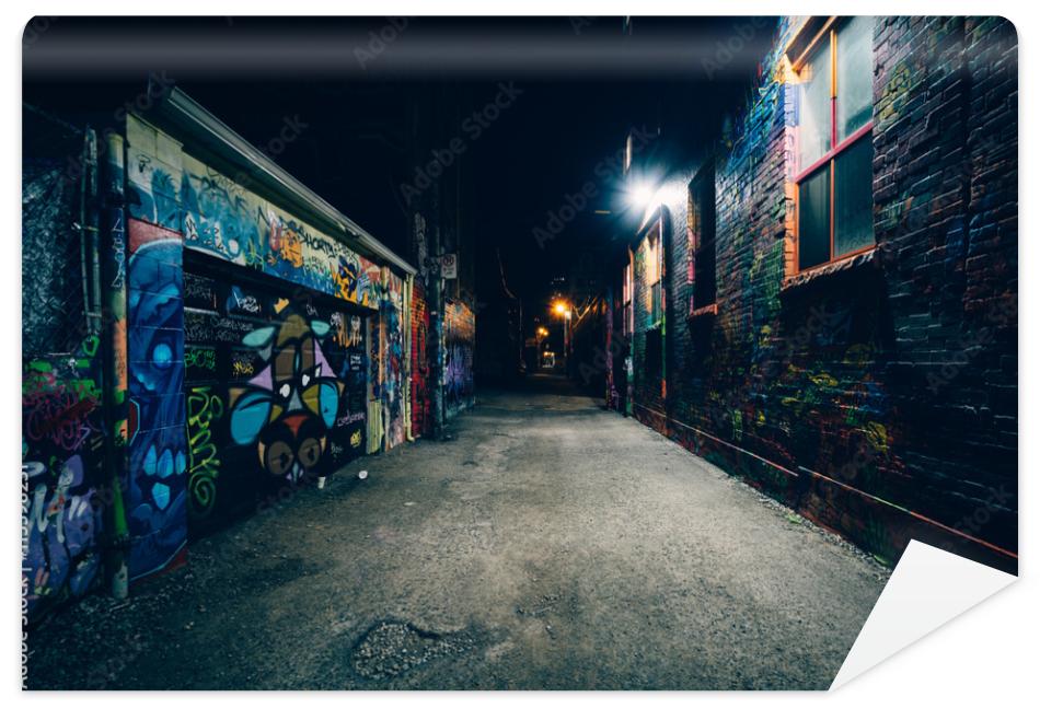 Fototapeta Graffiti Alley at night, in