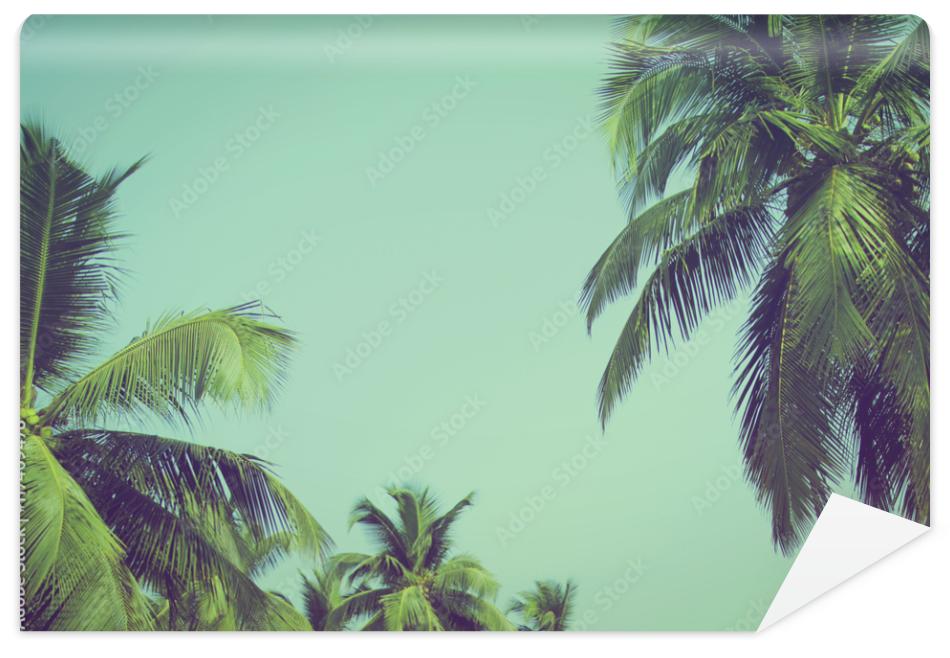 Fototapeta Coconut palm trees at tropical