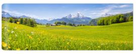 Fototapeta Idyllic landscape in the Alps