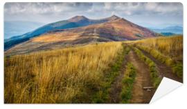 Fototapeta Bieszczady - mountains in