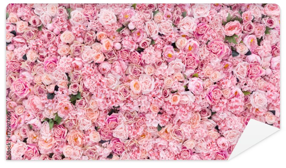 Fototapeta Beautiful Pink flowers