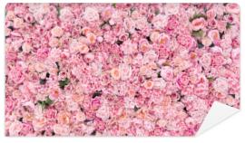 Fototapeta Beautiful Pink flowers