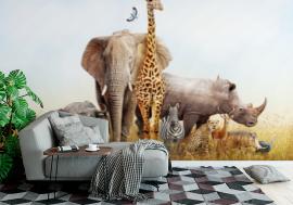 Fototapeta Safari Animals in Africa