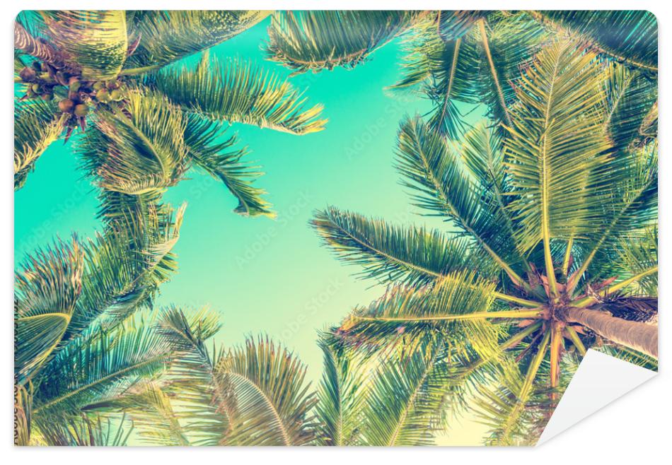 Fototapeta Blue sky and palm trees view