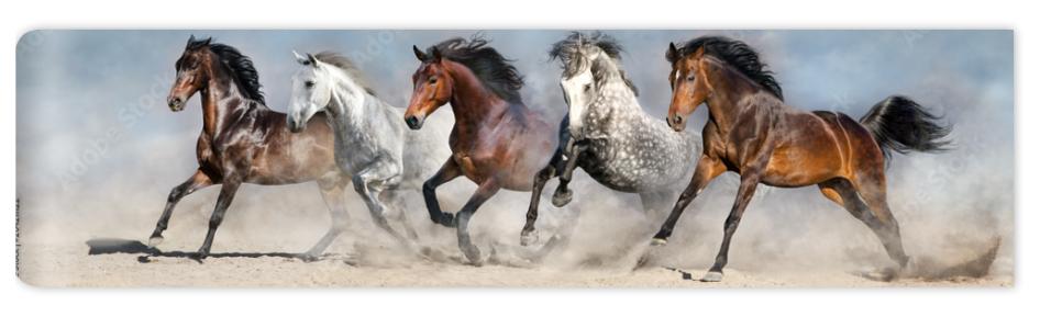 Fototapeta Horses run fast in sand