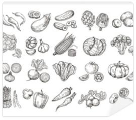 Fototapeta Sketch vegetables. Vintage