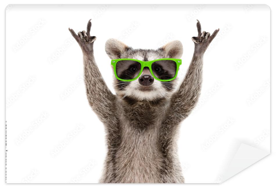 Fototapeta Funny raccoon in green
