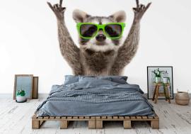 Fototapeta Funny raccoon in green