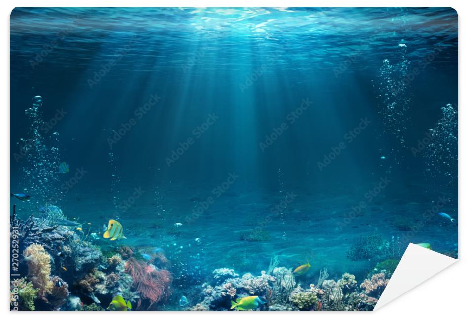 Fototapeta Underwater Scene - Tropical
