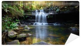 Fototapeta Bushland waterfall and oasis