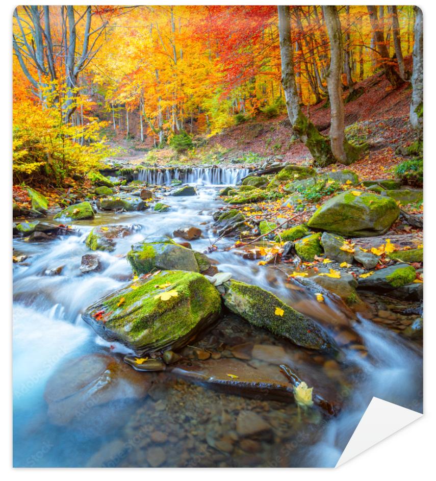 Fototapeta Colorful Autumn landscape - 