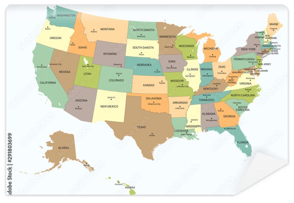 Fototapeta USA political map. Color