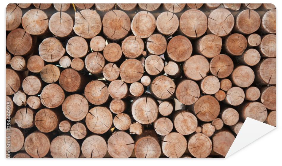 Fototapeta Pile of wood logs stumps for