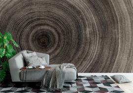 Fototapeta Warm gray cut wood texture.