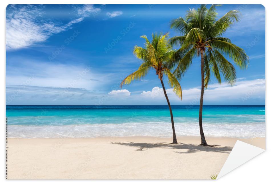 Fototapeta Tropical white sand beach with