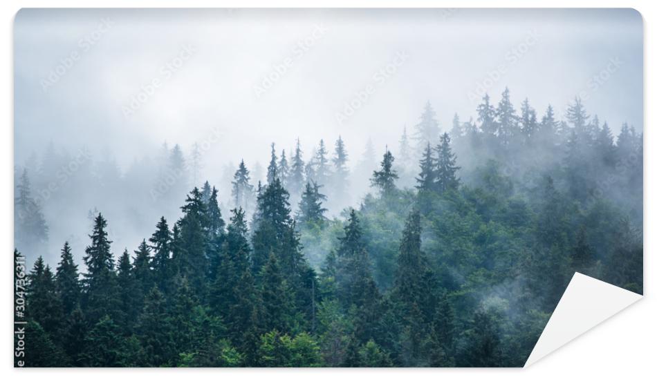 Fototapeta Misty mountain landscape