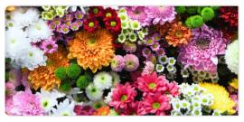 Fototapeta Flowers wall background with