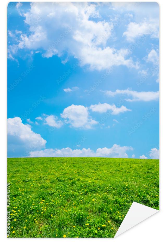 Fototapeta 緑の草原と青空