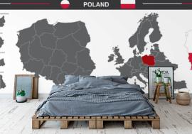 Fototapeta political vector map of Poland