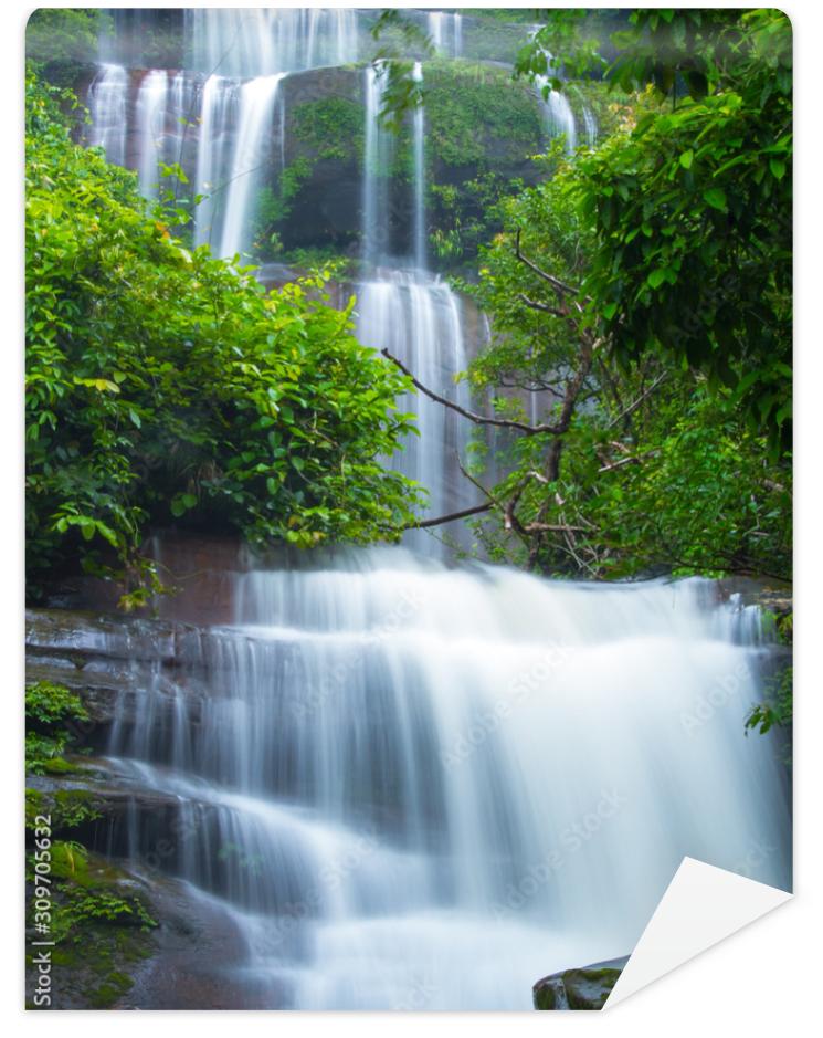 Fototapeta waterfall in forest