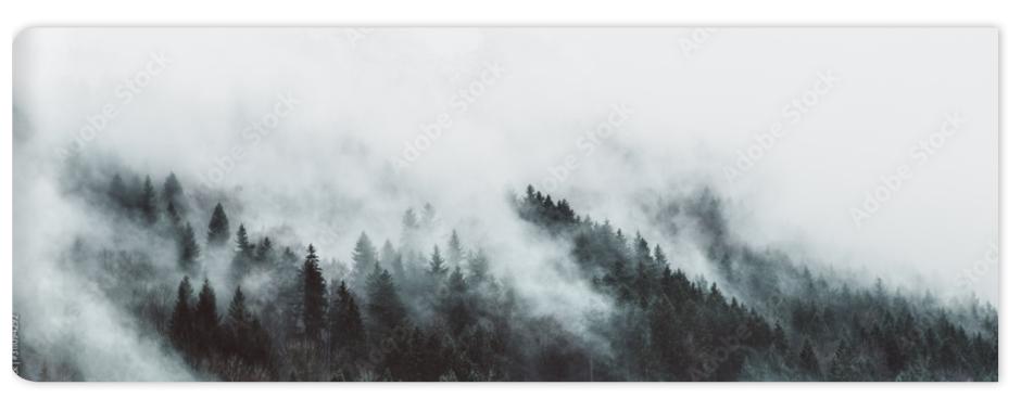 Fototapeta Moody forest landscape with