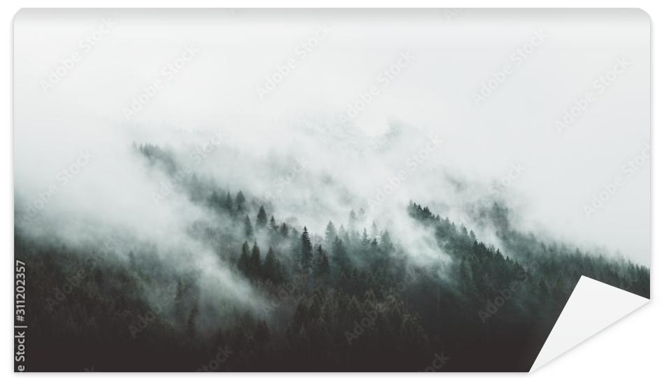 Fototapeta Moody forest landscape with
