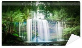 Fototapeta Waterfall in dense rainforest