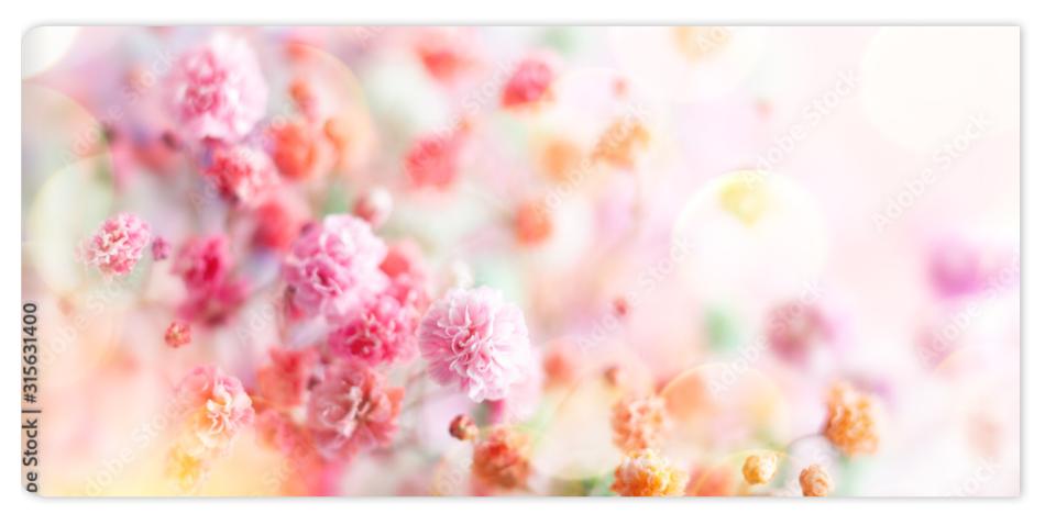 Fototapeta Spring floral composition made