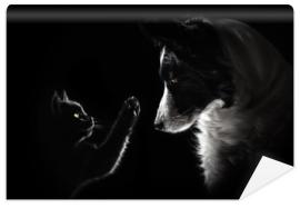 Fototapeta cat and dog lovely portrait on