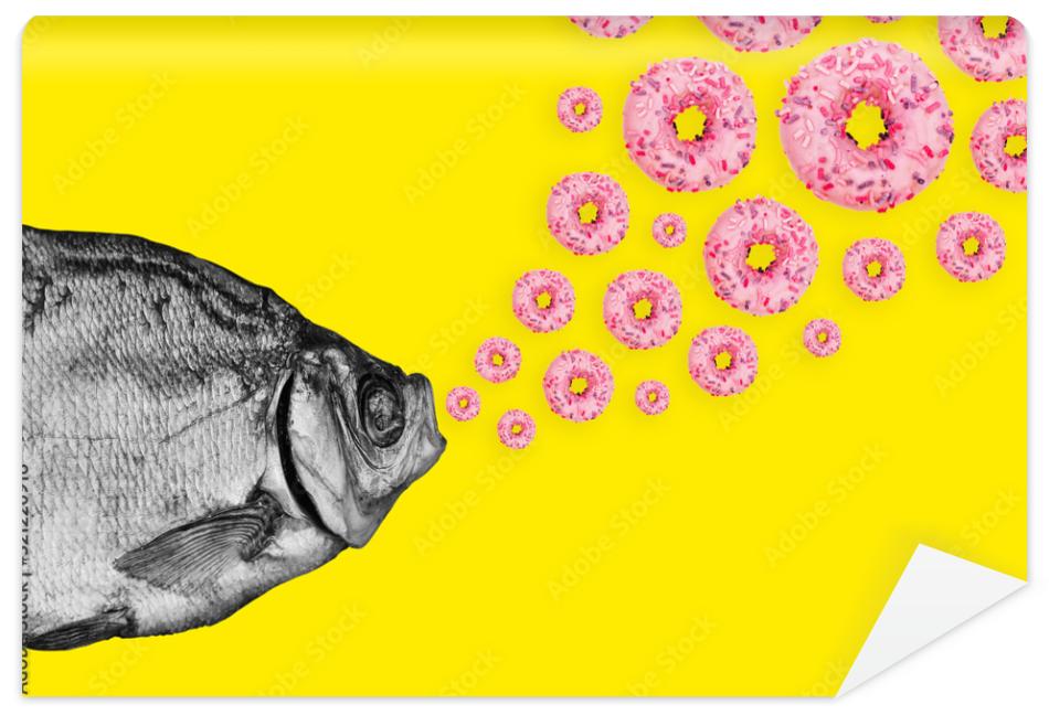 Fototapeta Concept fish and donuts on a