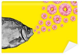 Fototapeta Concept fish and donuts on a