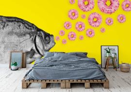 Fototapeta Concept fish and donuts on a